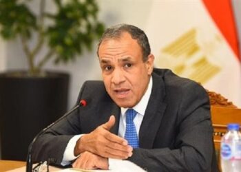 وزير الخارجية يشدد على رفض مصر القاطع لمخططات تهجير الفلسطينيين من أراضيهم