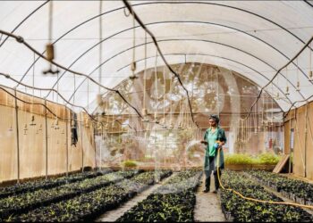 300 مليار دولار سنويًا لتمويل المناخ.. هل تنجح إفريقيا في تحويل التحديات إلى فرص استثمارية؟