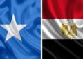 مصـر تؤكد عمق العلاقات التاريخية مع الصـومــال ومواصلة دعمها للشعب الصومالي الشقيق