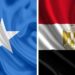 مصـر تؤكد عمق العلاقات التاريخية مع الصـومــال ومواصلة دعمها للشعب الصومالي الشقيق