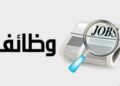 وزارة العمل تعلن وظائف جديدة برواتب تصل 12 ألف جنيه شهريًا