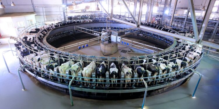 جهينه تطور منظومة الحلب بأحدث التقنيات في مزرعة الواحات