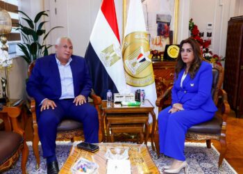 وزيرة التنمية تبحث مع محافظ الوادي الجديد الموقف التنفيذي للمشروعات التنموية والخدمية