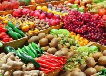 أسعار الخضروات والفاكهة في مصر اليوم الأحد