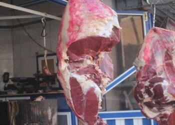 أسعار اللحوم في مصر اليوم الاربعاء