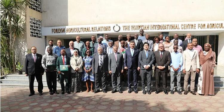 وزير الزراعة يشهد حفل ختام تخريج 24 متدرب من 19 دولة أفريقية لدعم تحقيق الأمن الغذائي بالقارة السمراء