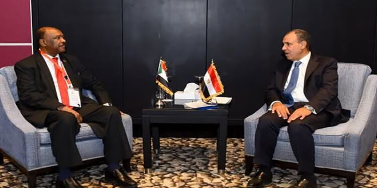 وزير الخارجية يلتقي نظيره السودانى على هامش منتدى أسوان للسلام والتنمية المستدامة