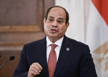 الرئيس السيسى: مصر لا تنسى الدور المهم للقوات المسلحة الجزائرية فى حرب أكتوبر