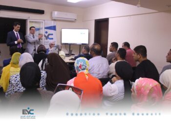 مجلس الشباب المصري يطلق برنامجًا تدريبيًا نوعيًا لإدارة الحملات الانتخابية
