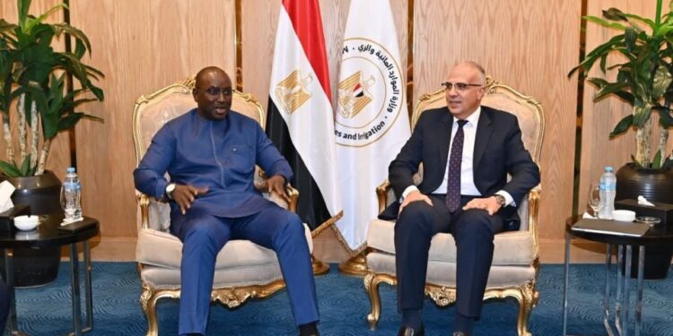 سويلم: السنغال شريك رئيسي لمصر في مجال المياه