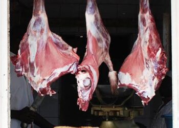 أسعار اللحوم في مصر اليوم الجمعة