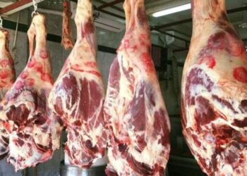 أسعار اللحوم في مصر اليوم الخميس