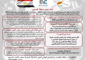 مبادرة دعم مشاركة المصريين بالخارج تتوسع في المرحلة الثانية من انتخابات النواب 2025
