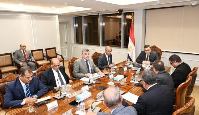 وزير الإسكان يتابع آخر مستجدات المشروعات التي تنفذها المقاولون العرب ضمن مبادرة “حياة كريمة”