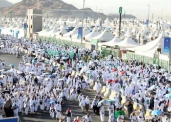 التضامن: إجراء القرعة الإلكترونية لاختيار حجاج الجمعيات الأهلية موسم 2026 السبت المقبل