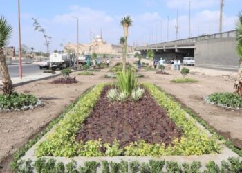 وزيرة التنمية المحلية تعلن انطلاق المرحلة الرابعة من المبادرة الرئاسية “100 مليون شجرة” بمحافظة الفيوم