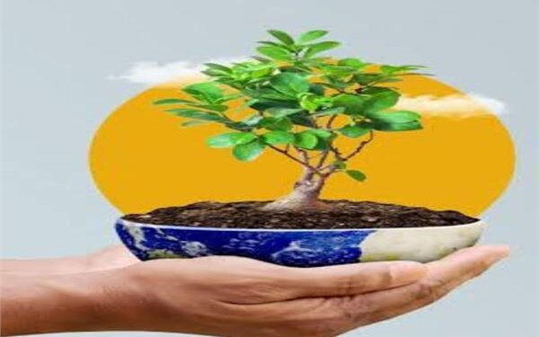 وزيرة التنمية والقائم بأعمال وزير البيئة تستعرض تقرير  جهود تحسين جودة الهواء خلال عام 2025