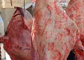 أسعار اللحوم في مصر اليوم الخميس