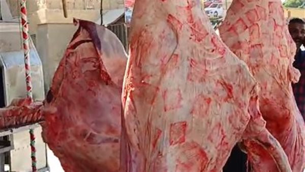 أسعار اللحوم في مصر اليوم الخميس