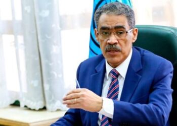 الاستعلامات: صفقة الغاز تجارية بحتة أُبرمت وفق اعتبارات اقتصادية واستثمارية خالصة