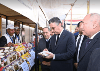 وزير التموين ومحافظ القاهرة يفتتحان سوق “اليوم الواحد” بالمرج لتوفير السلع بأسعار مخفضة للمواطنين