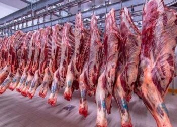 أسعار اللحوم في مصر اليوم الاربعاء