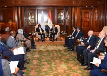 مباحثات مصرية-صومالية حول سبل تعزيز الشراكة ودعم الأمن والاستقرار