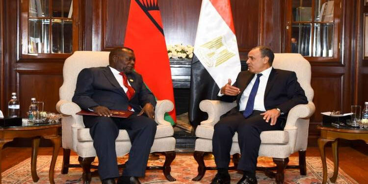 وزير الخارجية يلتقي نظيره المالاوي