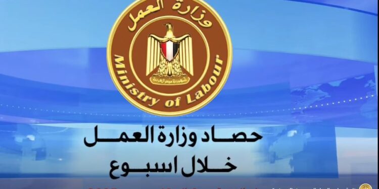 فيديو يرصد حصاد وزارة العمل خلال أسبوع