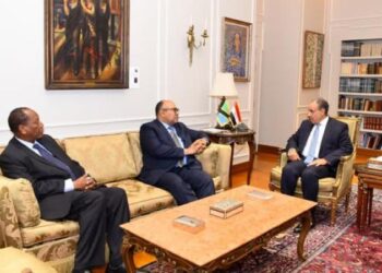 وزير الخارجية يلتقي نظيره التنزاني