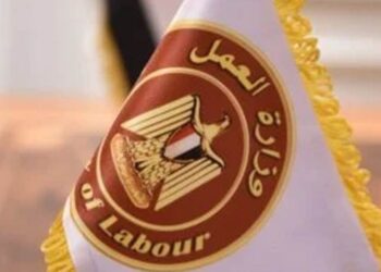 وزارة العمل تُعلن عن فرص عمل جديدة في شركات خاصة.. بالتعاون مع مديرية عمل الجيزة
