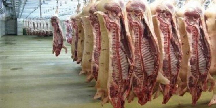 أسعار اللحوم في مصر اليوم الثلاثاء