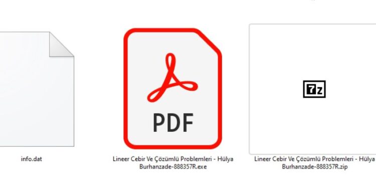 برمجيات خبيثة تتخفى في كتب إلكترونية.. حملة تستهدف قرّاء تركيا ومصر وبنغلاديش وألمانيا