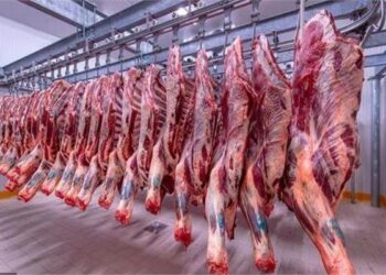 أسعار اللحوم في مصر اليوم السبت