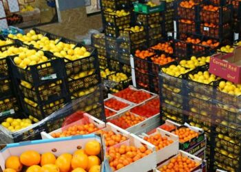 وزير الزراعة: الصادرات الزراعية المصرية تجاوزت 9.2 مليون طن خلال 2025