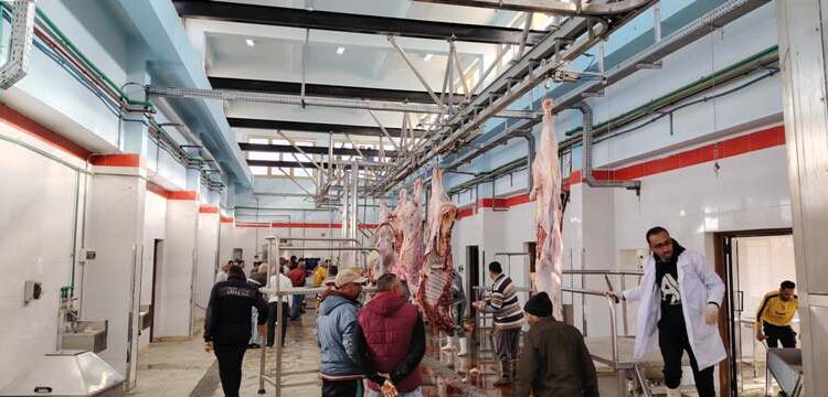 وزيرة التنمية تعلن التشغيل التجريبي لمجزر مدينة موط بالوادي الجديد بتكلفة 21 مليون جنيه