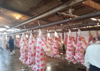 أسعار اللحوم في مصر اليوم الاربعاء