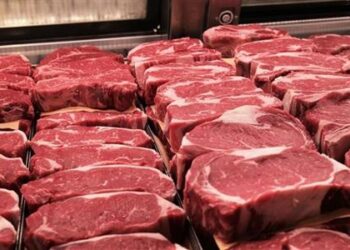 أسعار اللحوم في مصر اليوم الإثنين