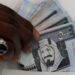 أسعار الريال السعودي في مصر اليوم السبت