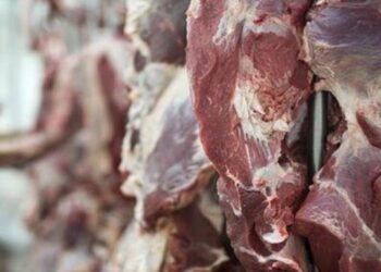 أسعار اللحوم في مصر اليوم السبت