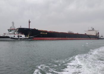 ميناء دمياط يستقبل أكبر حمولة بضائع عامة في تاريخه