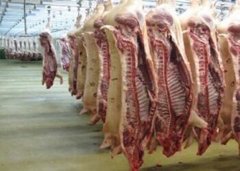 أسعار اللحوم في مصر اليوم السبت