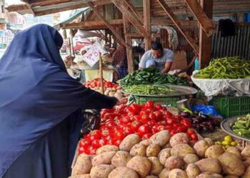 أسعار الخضار والفاكهة في مصر اليوم الأحد