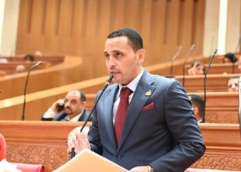 التلواني: الهاتف لم يعد ترفًا.. يجب مراعاة المواطنين في الخارج عند فرض الرسوم