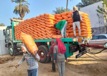 “الزراعة” تُكثف حملاتها الرقابية في 6 محافظات للتأكد من وصول الأسمدة المدعمة لمستحقيها والتيسير على المزارعين