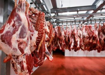 أسعار اللحوم في مصر اليوم الاربعاء