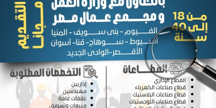 مجلس الشباب المصري يطلق النسخة الجديدة من البرنامج الوطني لتعزيز الحق في العمل