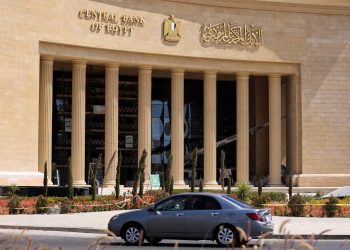 «رواد النيل» في 5 سنوات: مليون خدمة مجانية و19 مليار جنيه تمويلات لأصحاب المشروعات