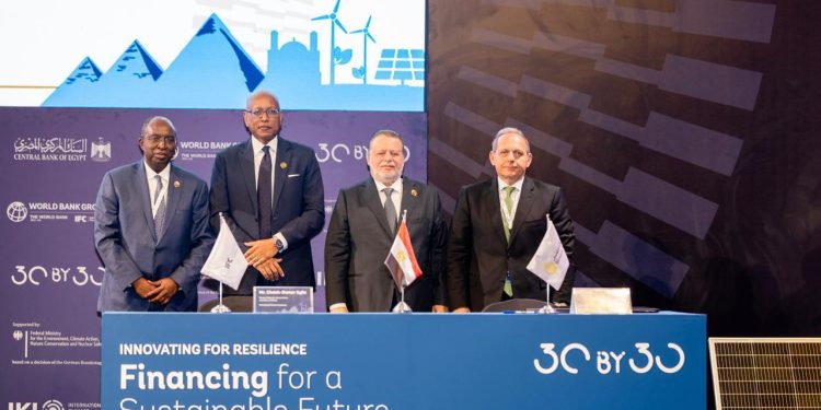 البنك المركزي المصري ومؤسسة التمويل الدولية يناقشان مستقبل التمويل الأخضر