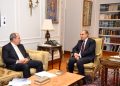 وزير الخارجية يستقبل رئيس الجامعة البريطانية في مصر